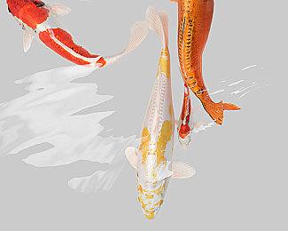 模拟建造游戏《宇宙主义》正式发布 已获Steam特别好评